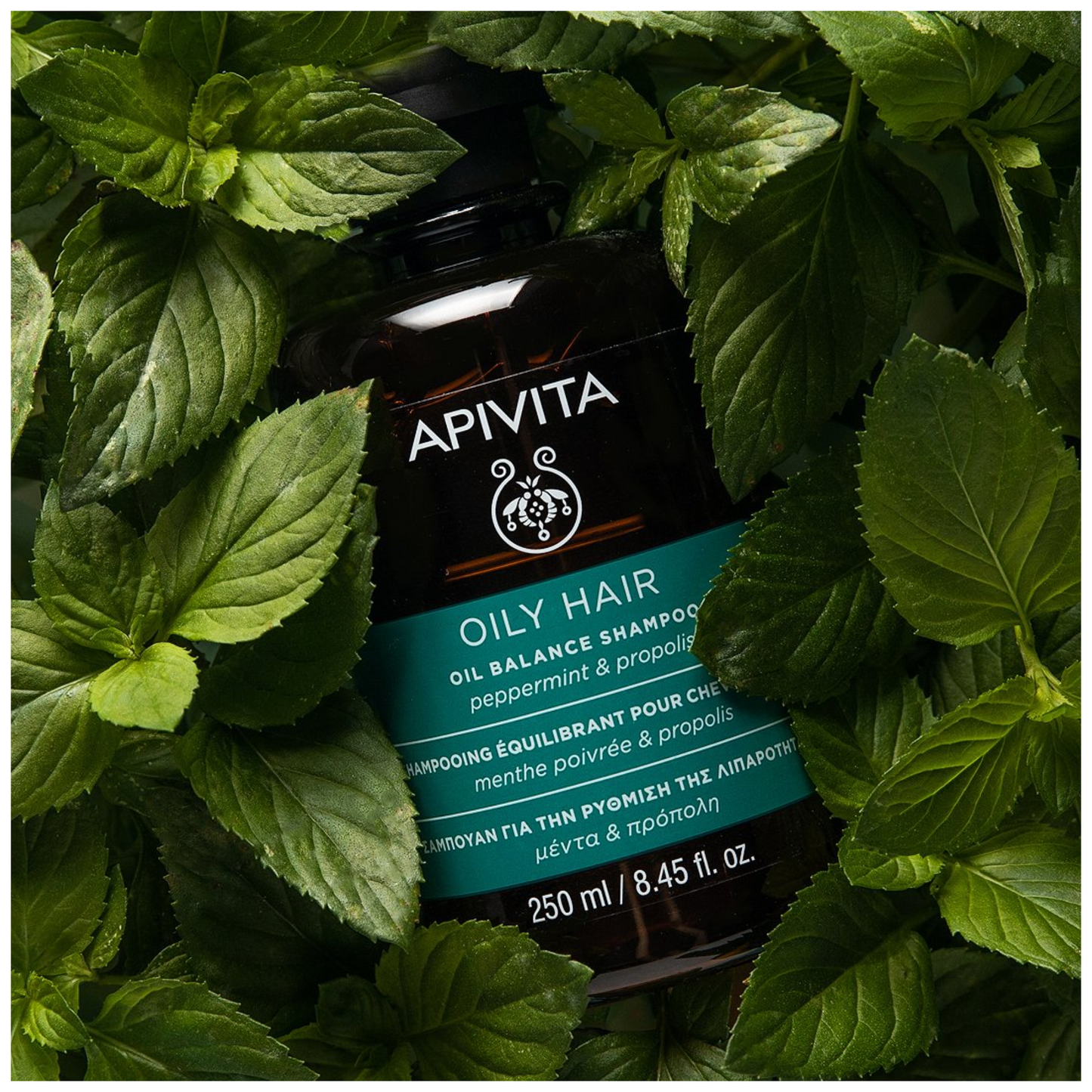 Apivita Oily Hair Champô Equilíbrio da Oleosidade 250mL