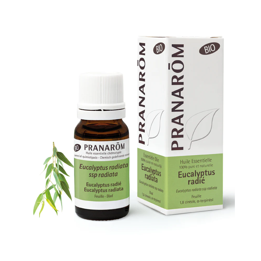 Pranarom Eucalyptus Radiata Essential Oil 10mL