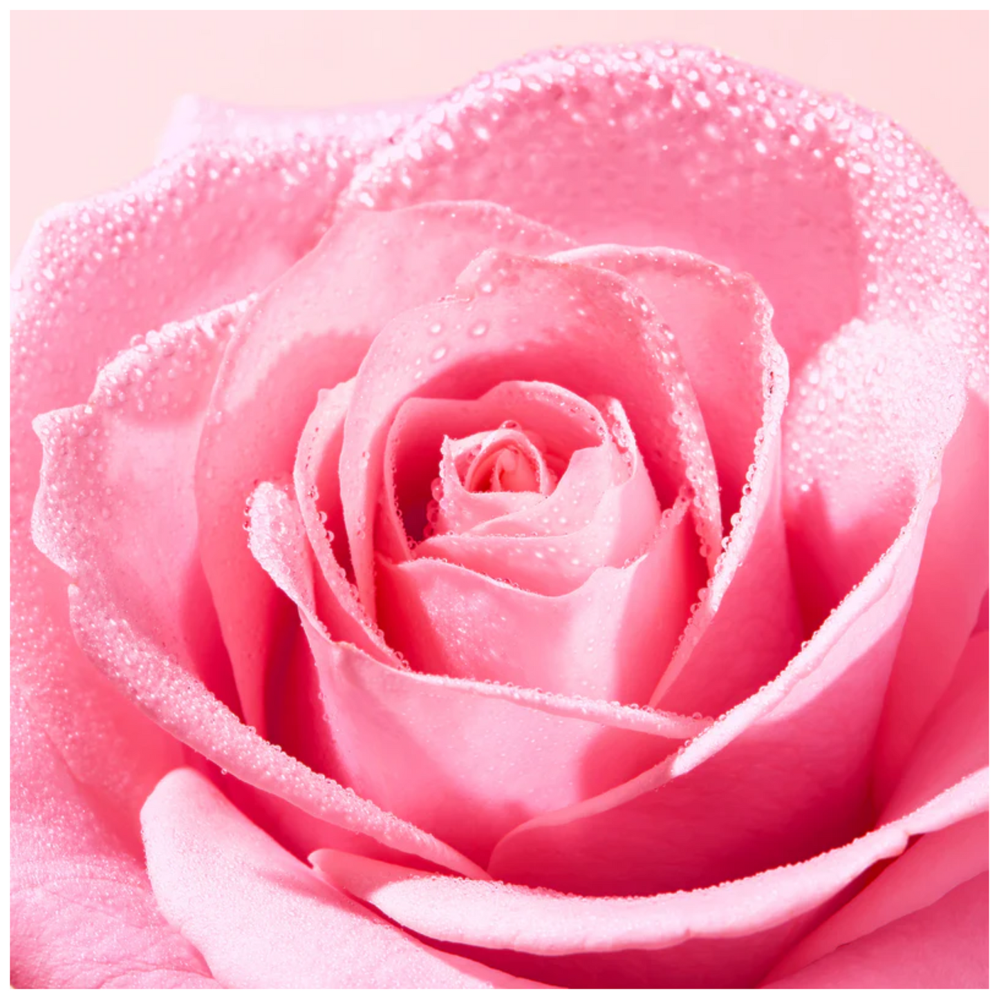 Nuxe Very Rose 3 in 1 Soothing Micellar Water 100mL